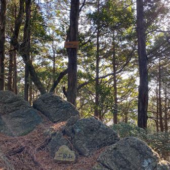 着いた！三国山。