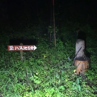 暗いので来た道を戻る。