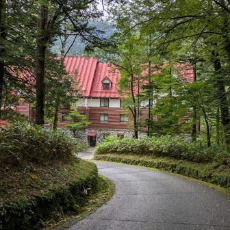 山友さんがみたいと希望の帝国ホテルへ
