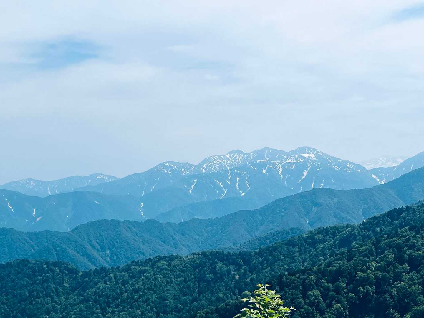 長尾峠-長尾山-奥長尾山-大辻山 往復コースの写真