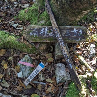 久保の息。平巻の廃林道の5キロ？の通過点。