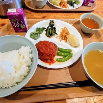 夕飯はハンバーグか魚のフライを選べました