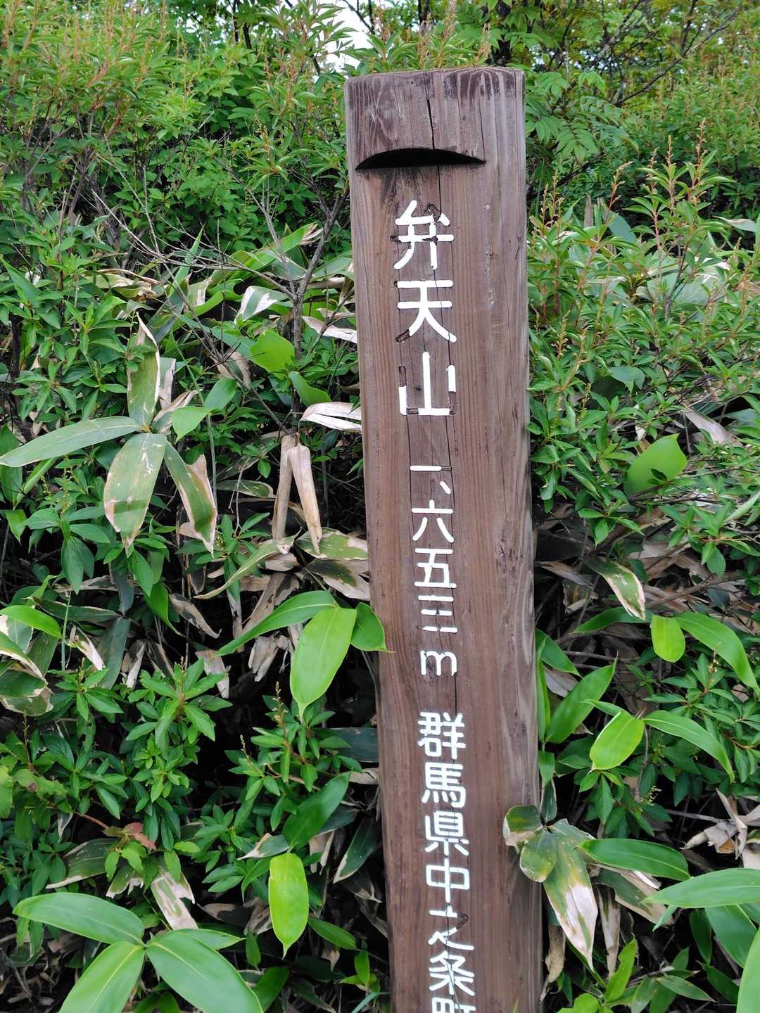 弁天山 往復コースの写真