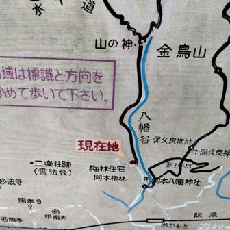 八幡谷
登山道から見下ろすことおよそ50mの垂直にキレ落ちた巨大な谷　というより　すでに渓谷　というより　芦屋のグランドキャニオン！
遡行されている方がありました。
https://muscleturtle.jp/2018/06/30/hatimandani/

カヨ隊長いわく　落ちたら上がってこられへん！
ぃやぃや　落ちたら必ずﾀﾋにます。たしかにﾀﾋんだら上がってこられんけどね😂
その景観から100mも歩けばいきなり芦屋の急傾斜にヘバリつく密集住宅街やから　二度ビックリ！