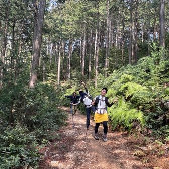 下りは楽だよー