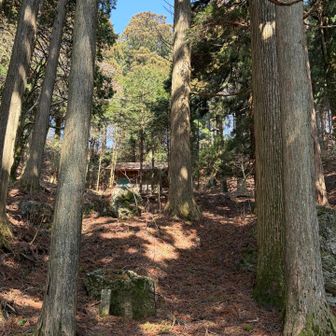大岳神社にも春が来ましたねー
