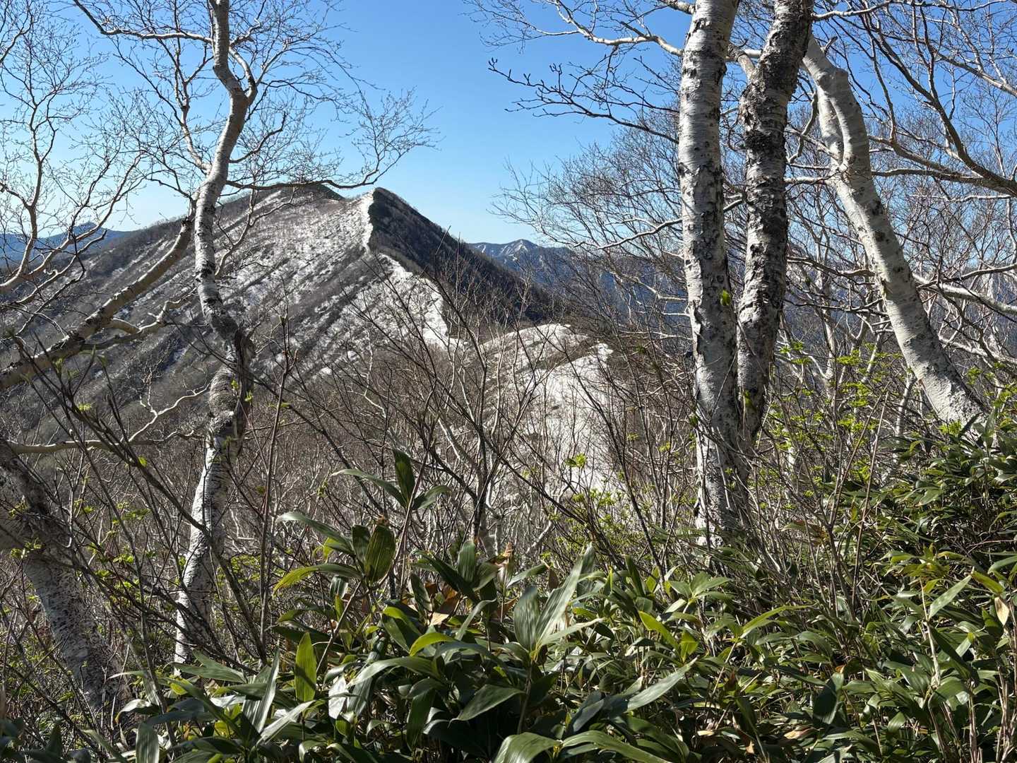 なんか見えた✨