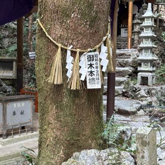 御木本クスが有ったんだ！