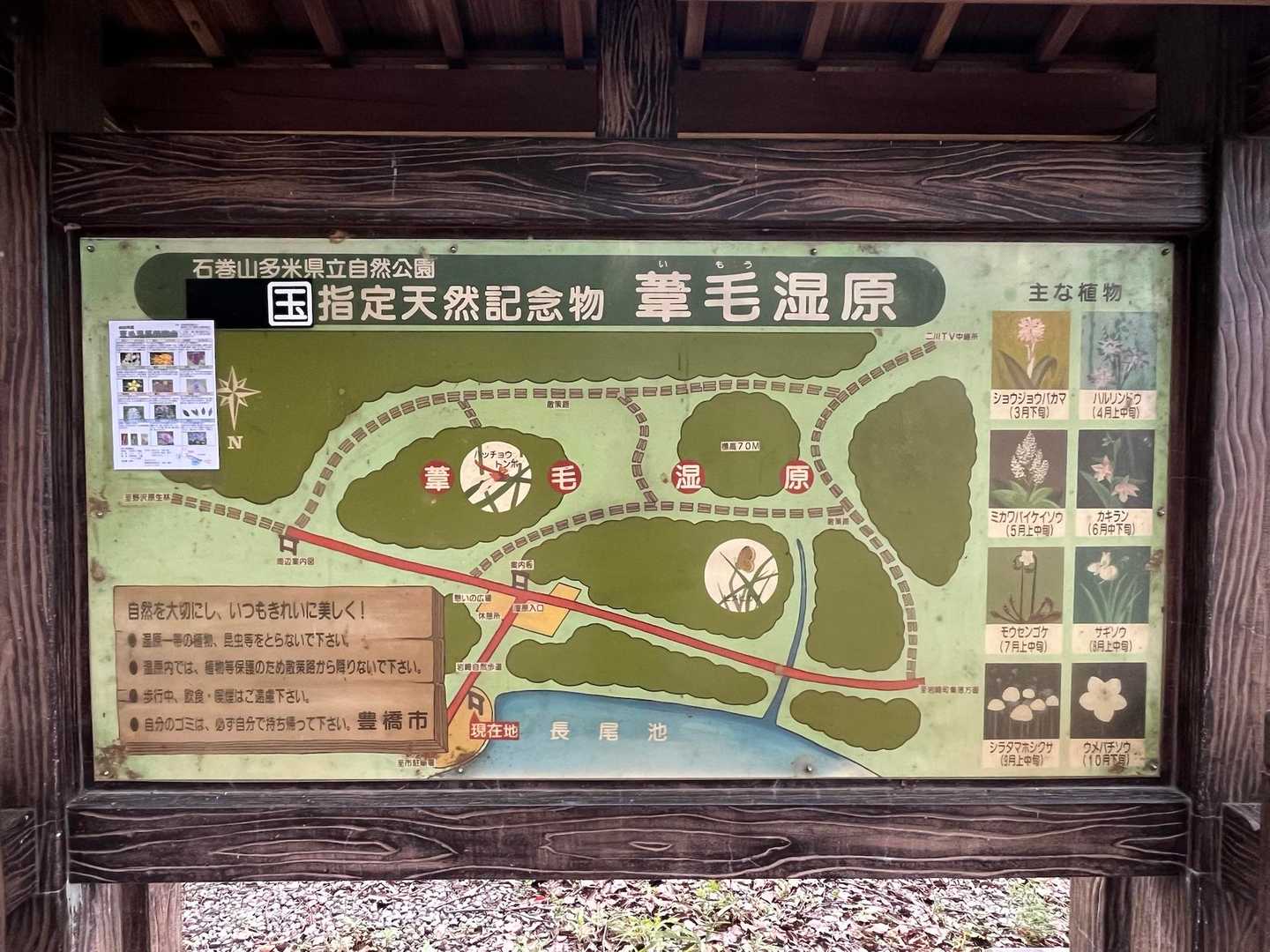 国指定天然記念物の葦毛湿原
✳︎初見で葦毛(いもう)は読めやん