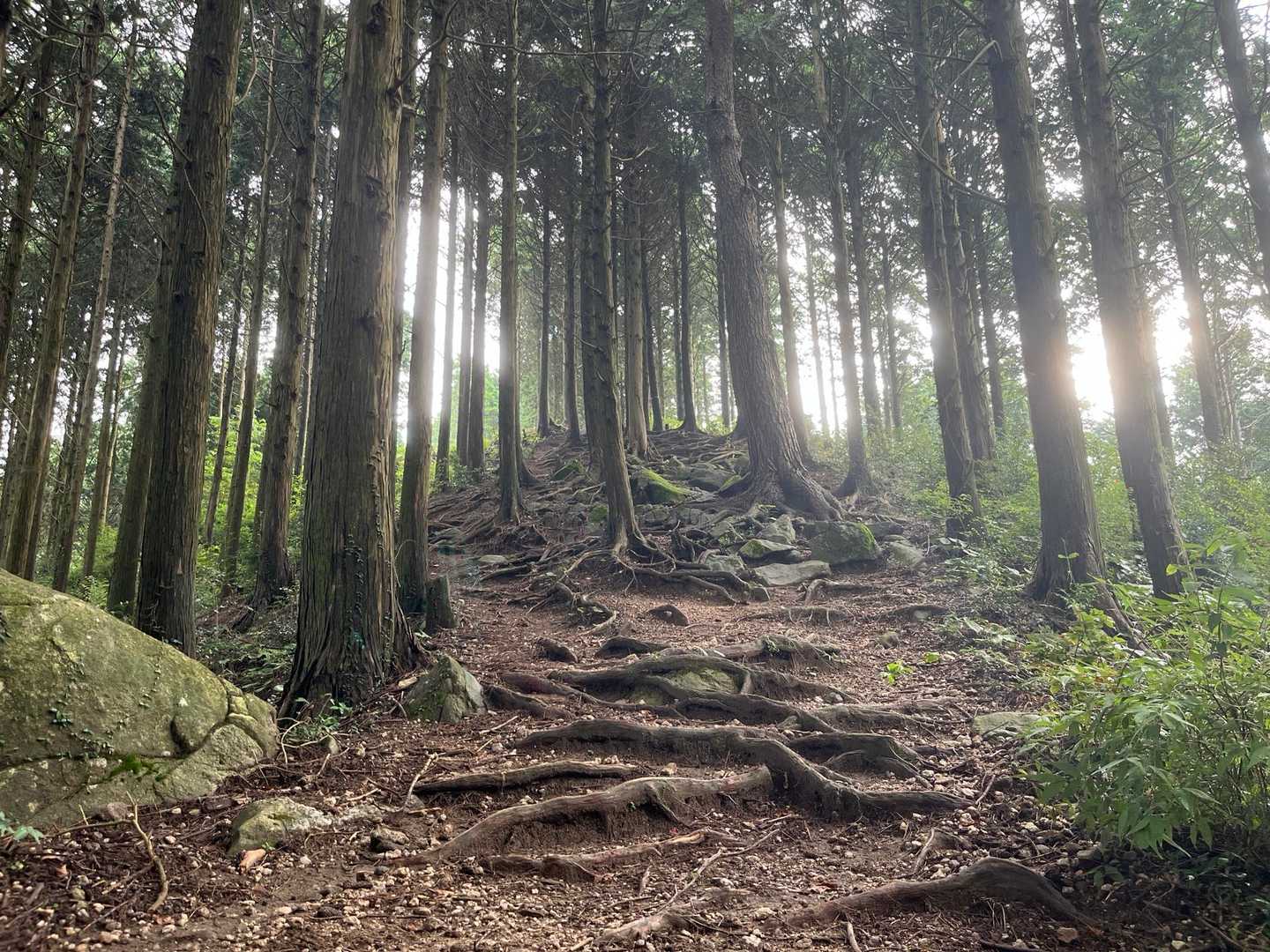 真名子登山口-二丈岳 周回コースの写真