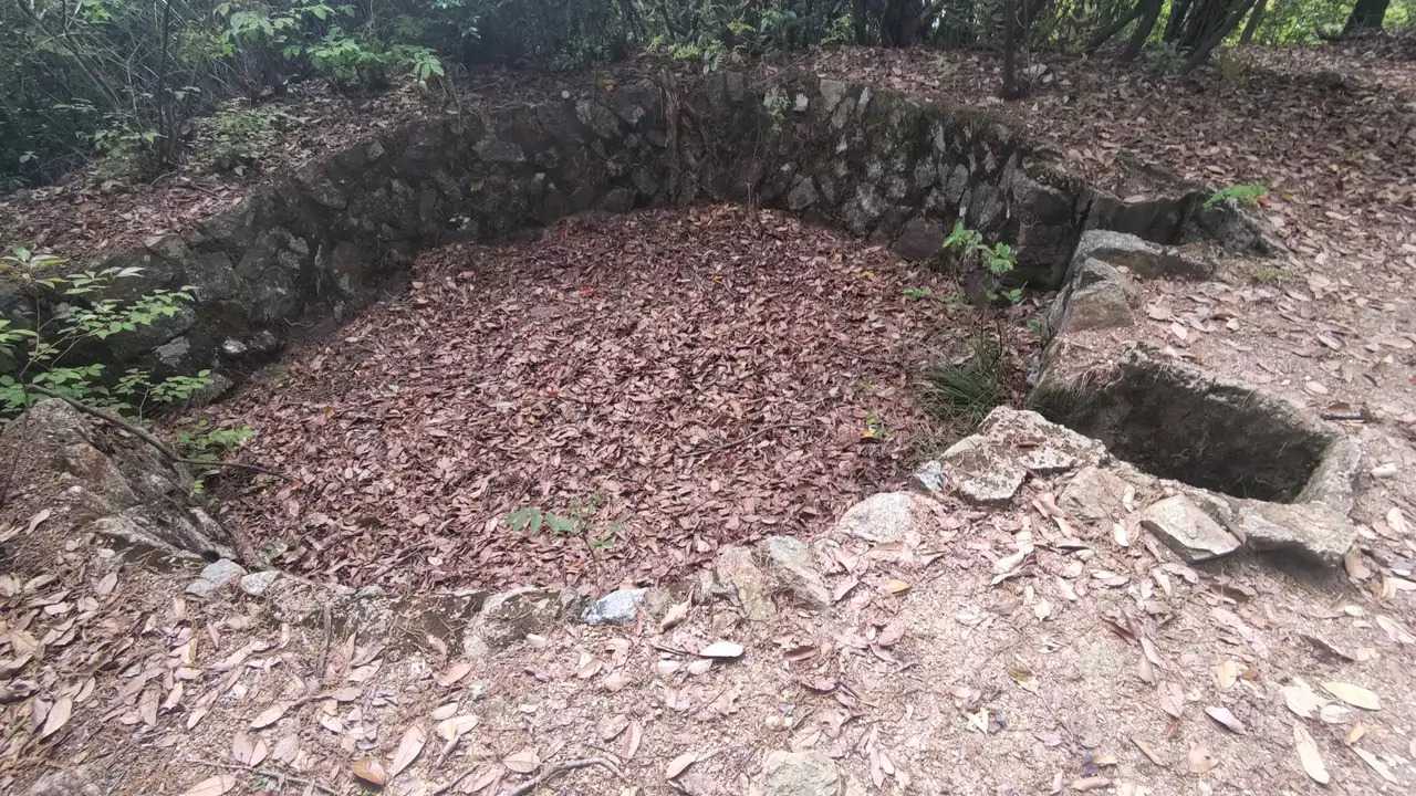 二葉山の写真