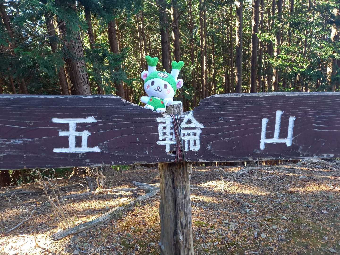 正丸駅-伊豆ヶ岳登山口-伊豆ヶ岳-長岩峠-伊豆ヶ岳登山口 周回コースの写真