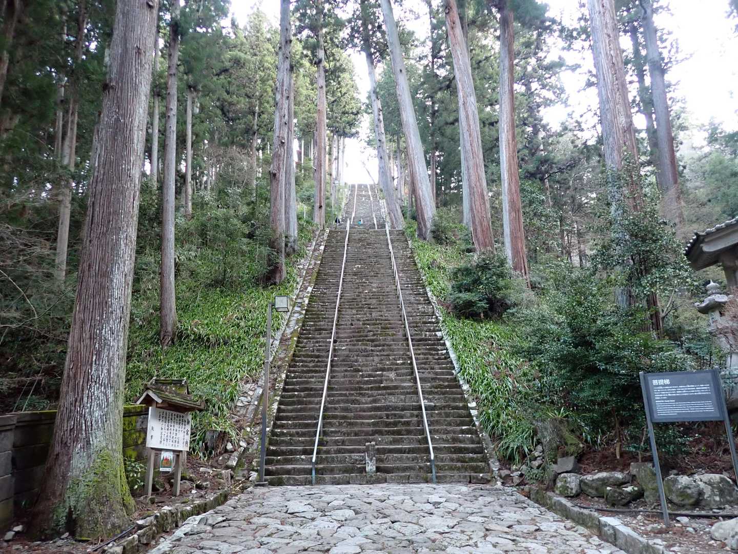 この石段、一段一段が高いんだよね。下りに使うのは危険かな。