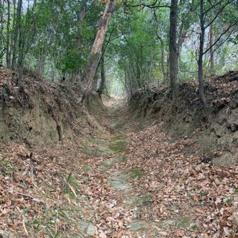 すぐに落ち葉で滑る急登🍂