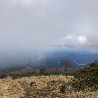 真っ直ぐ降りてたら
違う登山口😨
やらかすところでした♪
音声ガイドに助けられました👌