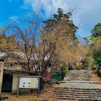 銅の鳥居のちょっと下まで下る🤭