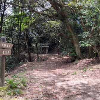 毘沙門堂の鳥居が見えました