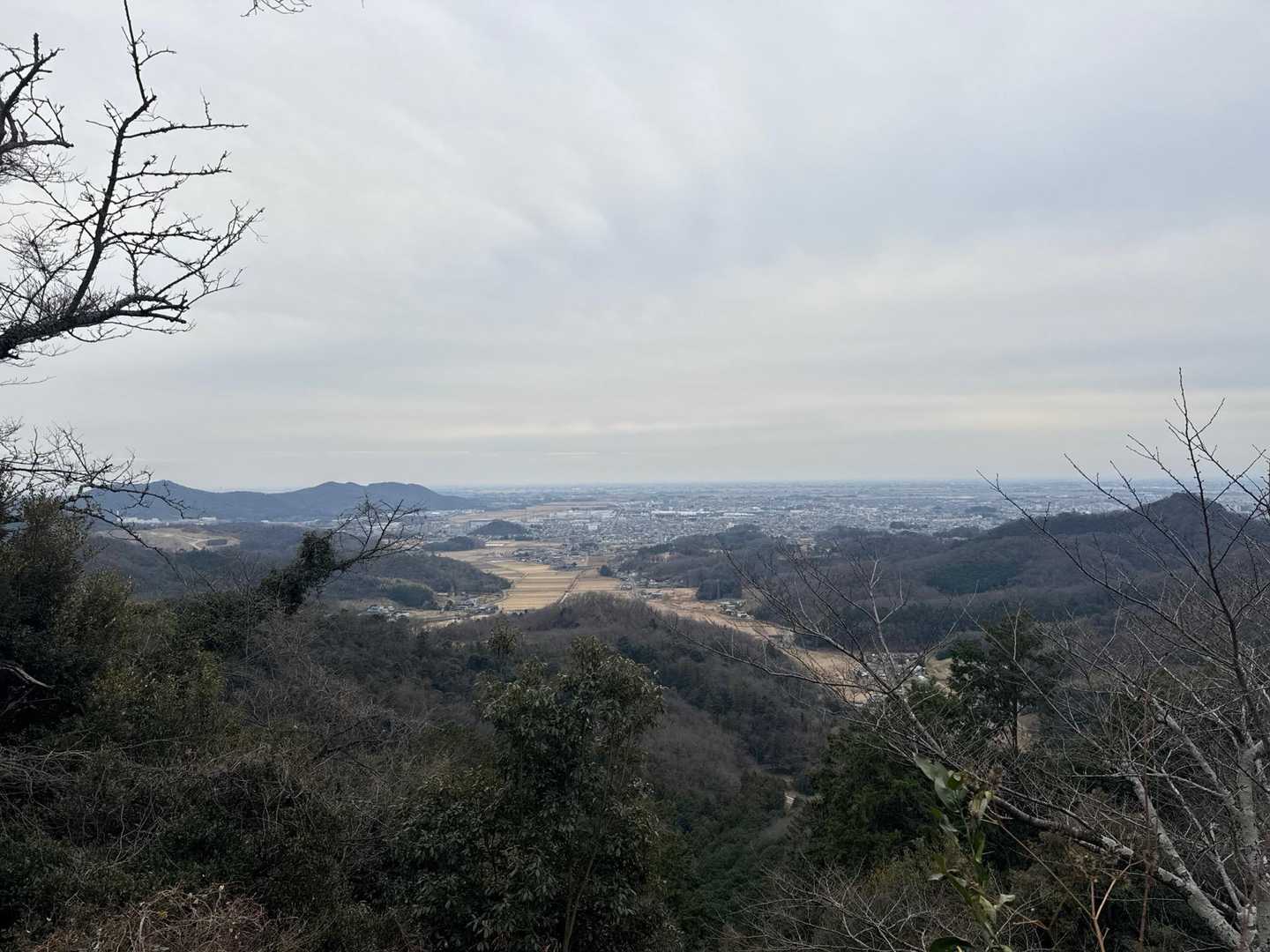 唐沢山 往復コースの写真