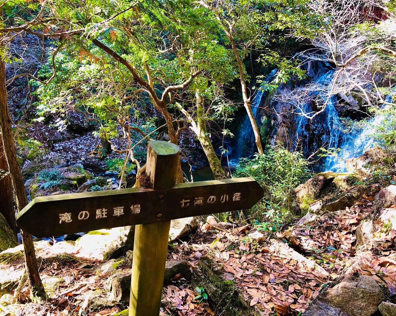 水晶山 往復コースの写真