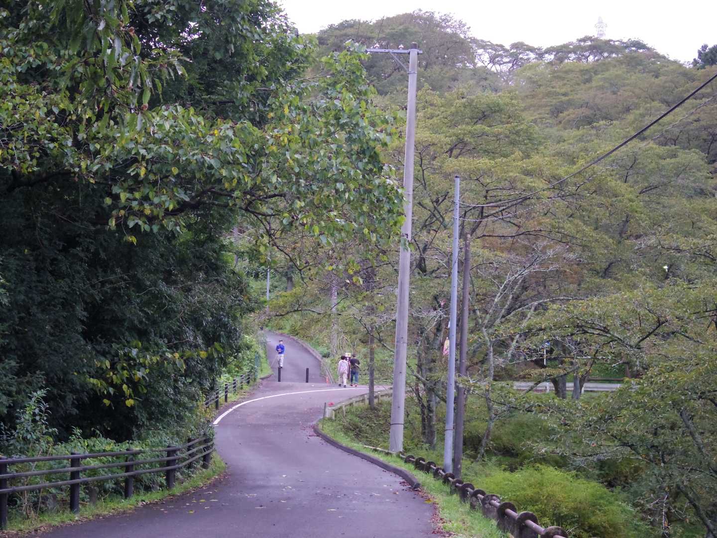 ここからは1人散歩
山頂に向けて舗装路を歩いてみます