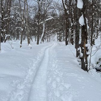 最初はずーっとこんな感じで余裕かましてましたね😂