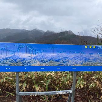 新しい看板！アップで^_^