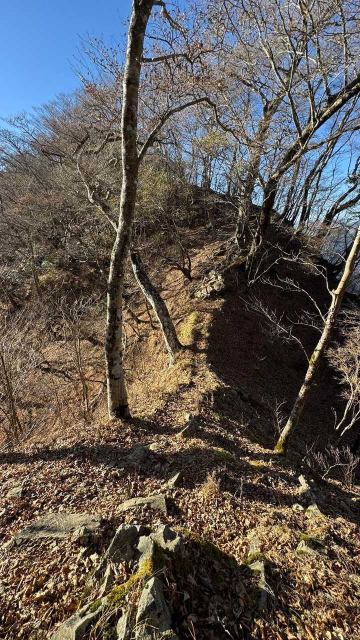 西丹沢縦走（西丹沢VC〜犬越路〜檜洞丸〜箒沢橋） の写真 40