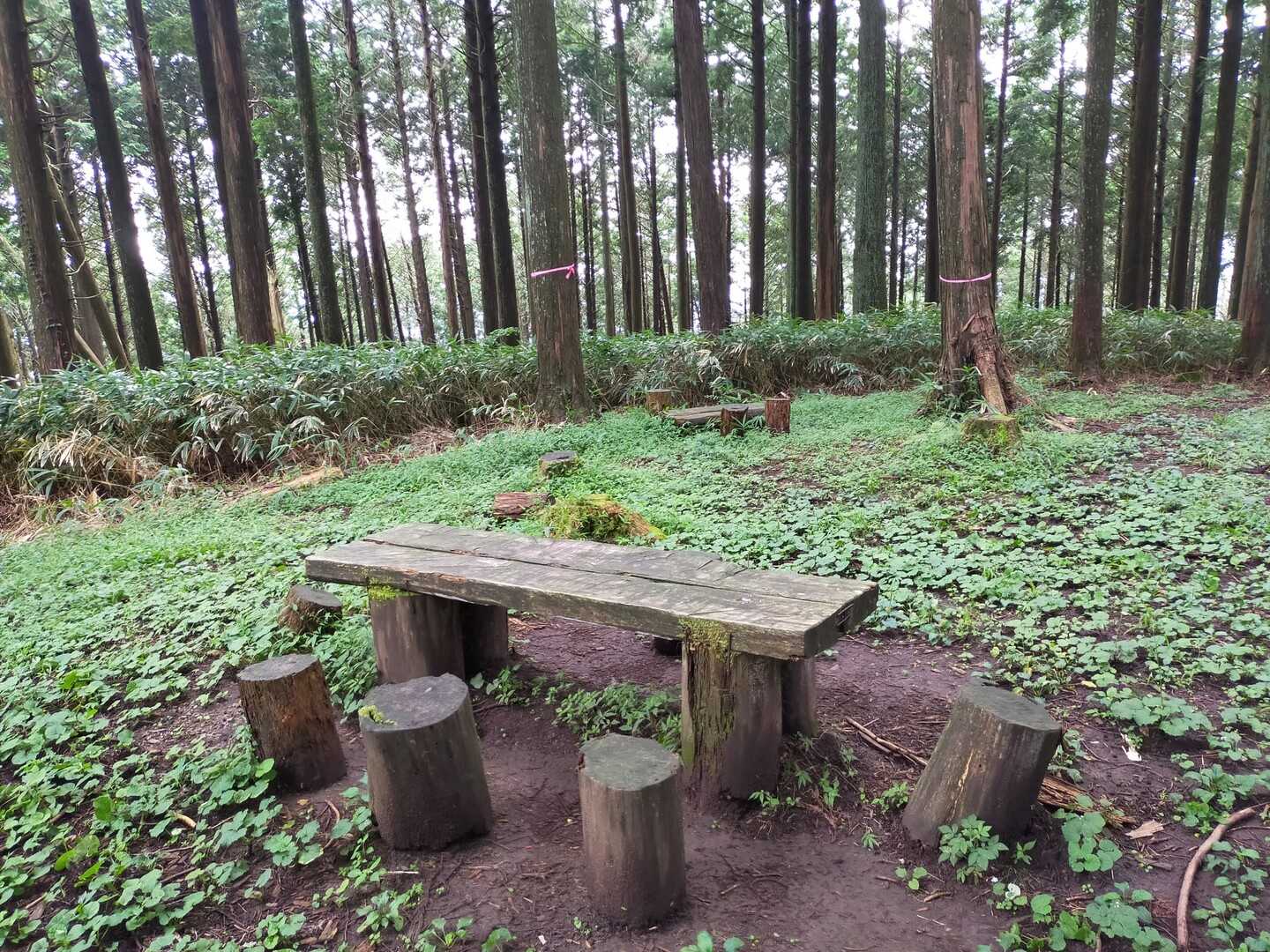 南葛城山の写真