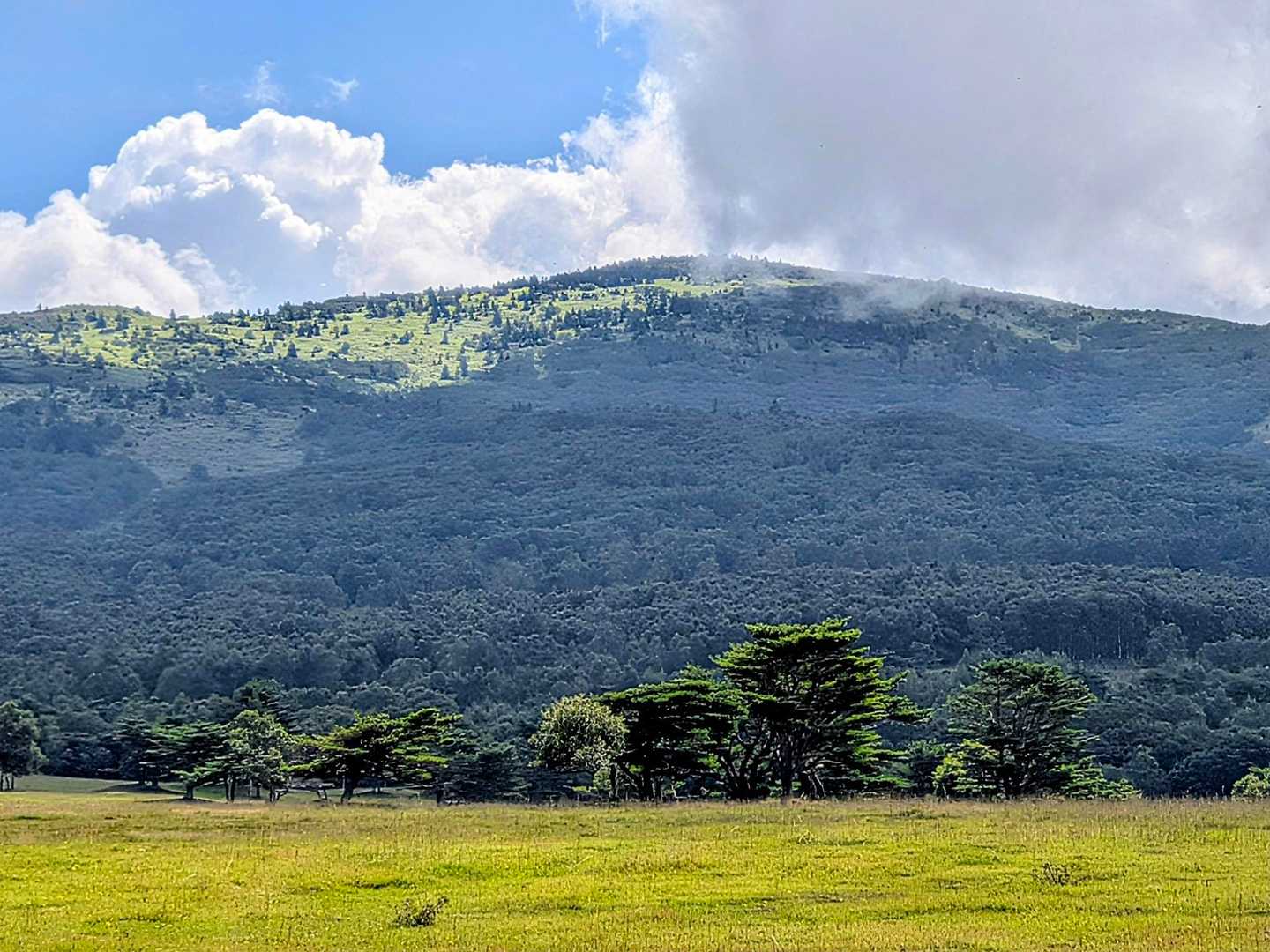 こもれび広場登山口-根子岳 往復コースの写真