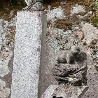 今年の馬もおるし🐴…