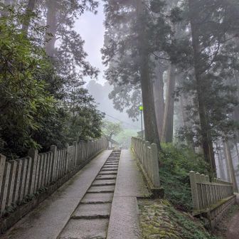 山頂広場からここまでが自分の中では一番の修行ですが幻想的な感じが良きです。