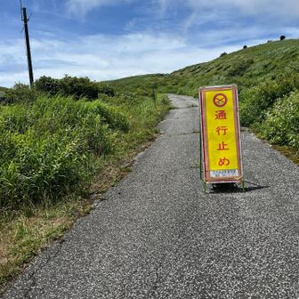 この左横に駐車場があります。