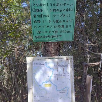 帰りはここから下る予定だけど
まだ迷い中。
鉄塔10と11とあるけど地図見てもどれかわからん😆