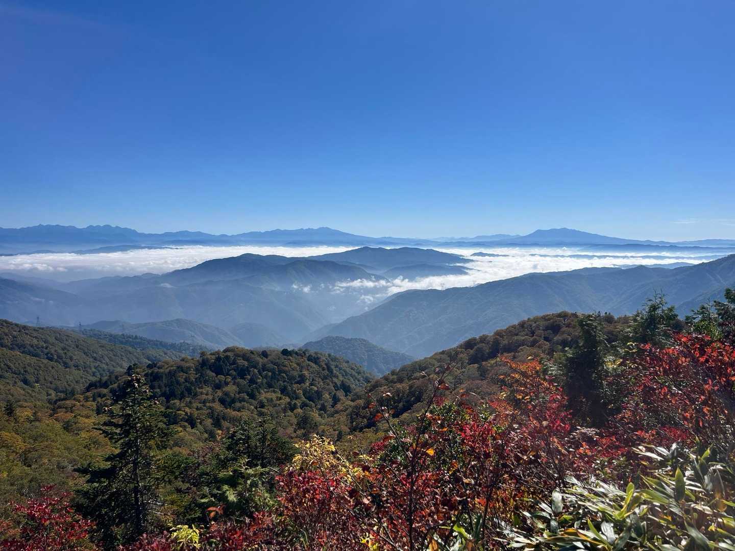 天生峠-籾糠山 往復コースの写真