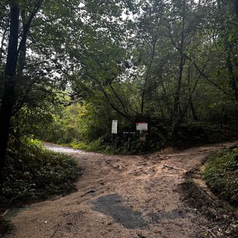 左の登山道へ