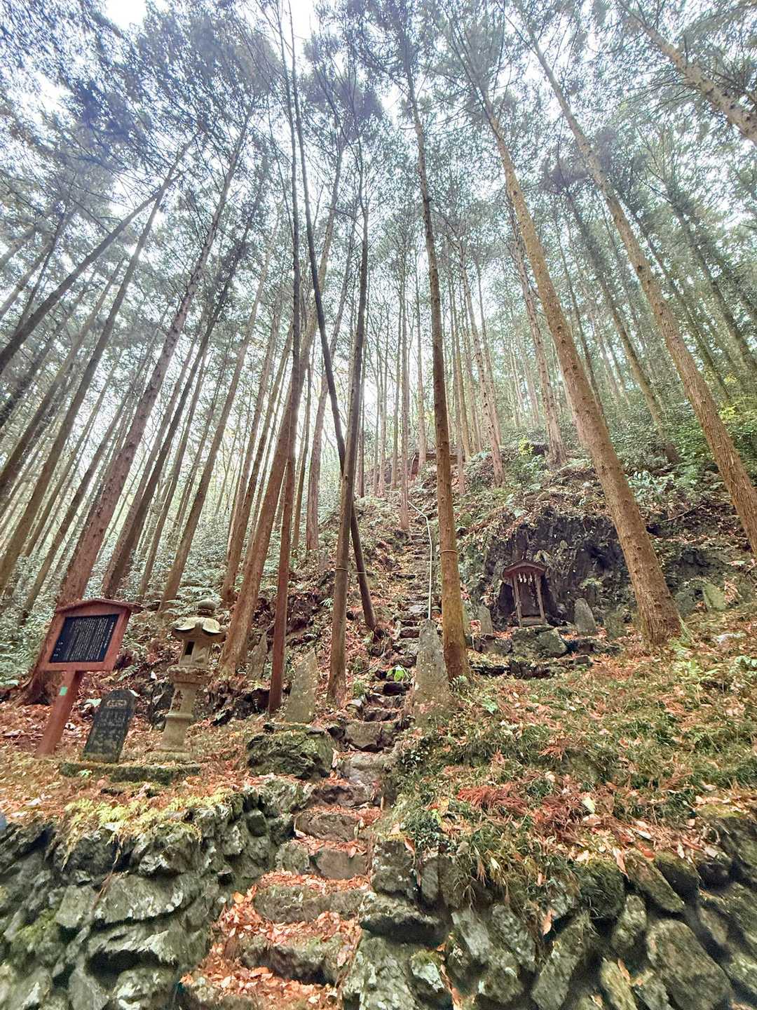 外秩父七峰縦走ハイキングコース入口-官ノ倉山-烏森山 往復コースの写真