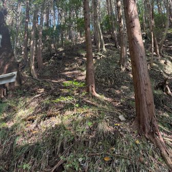 なんとか冷川峠に下りてきました