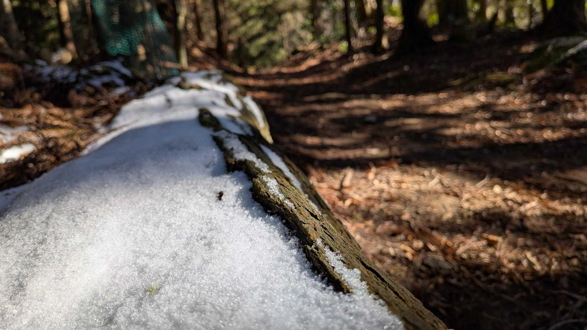 雪〜