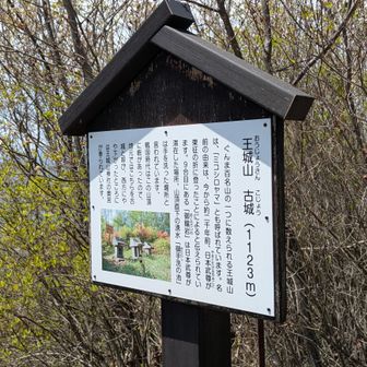 戦国時代には砦が築かれていたみたい。