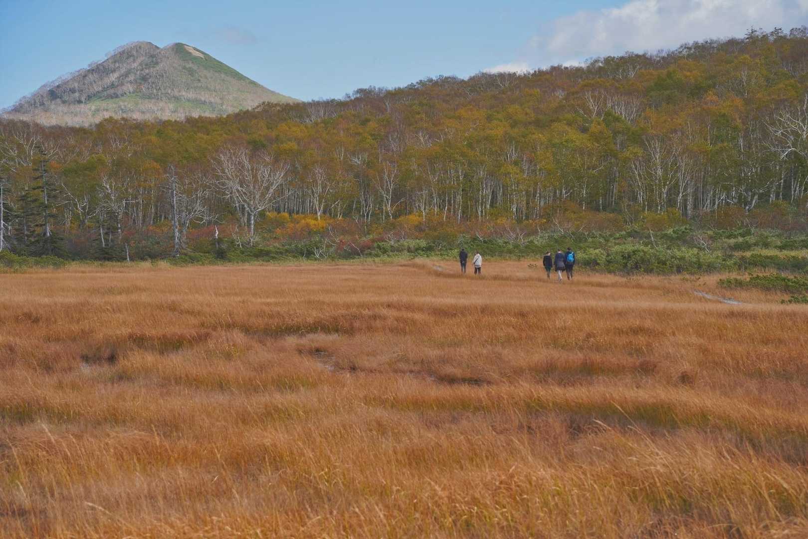 神仙沼登山口-ビーナスの丘-チセヌプリ 周回コースの写真
