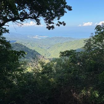 山頂からの眺望①紀淡海峡方面。