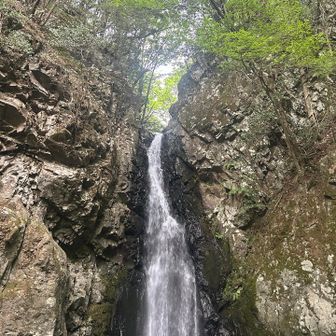 八ツ滝
意外とでけえ滝です