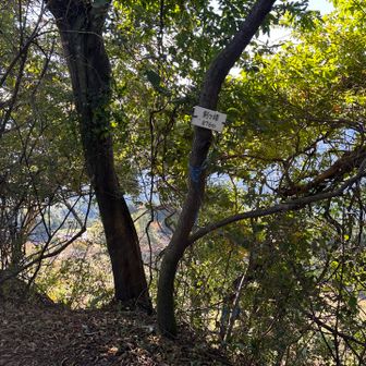 剣ヶ峰到着。今まで山頂標識なかったのに、できてる！