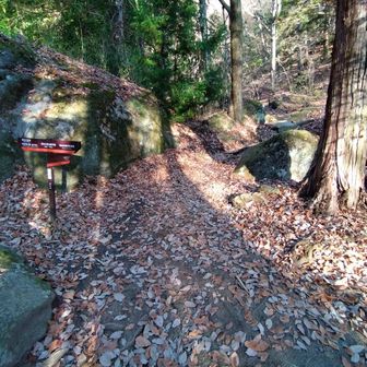 この分岐を右に進み、日向山に向かいます。