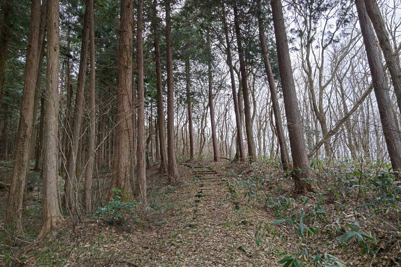 熊城山-丸掛山 周回コースの写真
