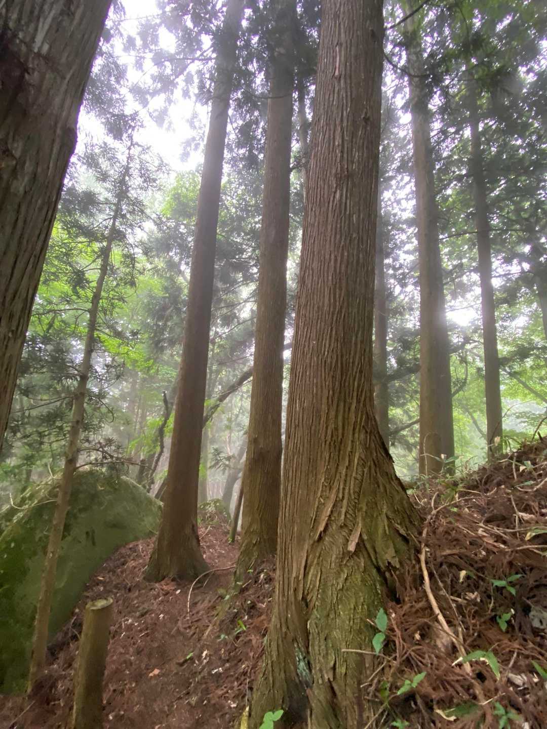 何やら神々しい雰囲気がしてきたと思ったら…