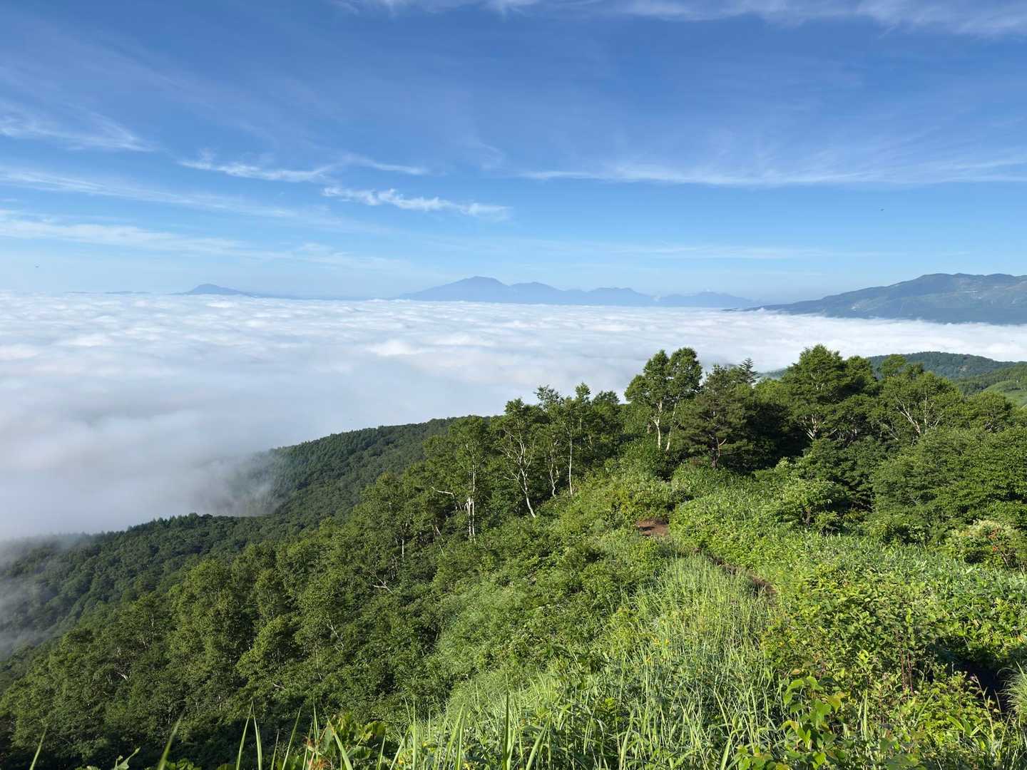 富士見峠-イカイワの頭-八間山 周回コースの写真