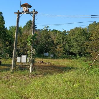 同じく山頂広場になります
結構な広さがあるし、車道もあるから…何のためのお山やろかな❓️
「権現」やからお社かなんかが有るのかと思っていたけど…分からへん🤔
