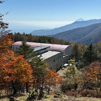 ここからはアカノラ山⛰️。

リフト前の花畑にて、霜が降りるこの時季に❄️🥶
頑張って咲いていた花です🌸