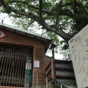 涼めるスポットを探せず行き先が定まらないので今日も坂バスで摩耶ケーブル下まで上がって来た
表六甲でバスアクセスできる登山口は限られるが、ここが最も近いうちのひとつ